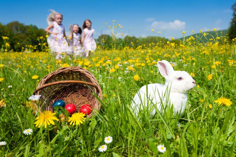 Ostern Im Garten Tipps Zu Deko Rezepten Pflanzen Eiern