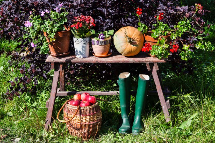 Garten im Herbst 6 ToDos für Hobbygärtner