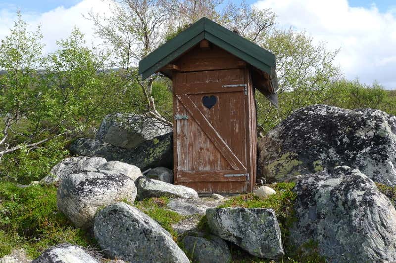 Toilette im Gartenhaus Diese 4 Möglichkeiten gibt es