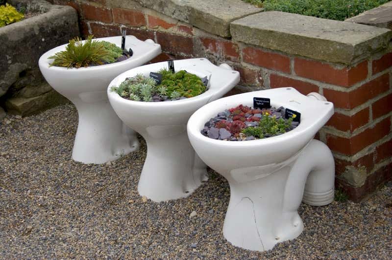 Toilette im Gartenhaus Diese 4 Möglichkeiten gibt es