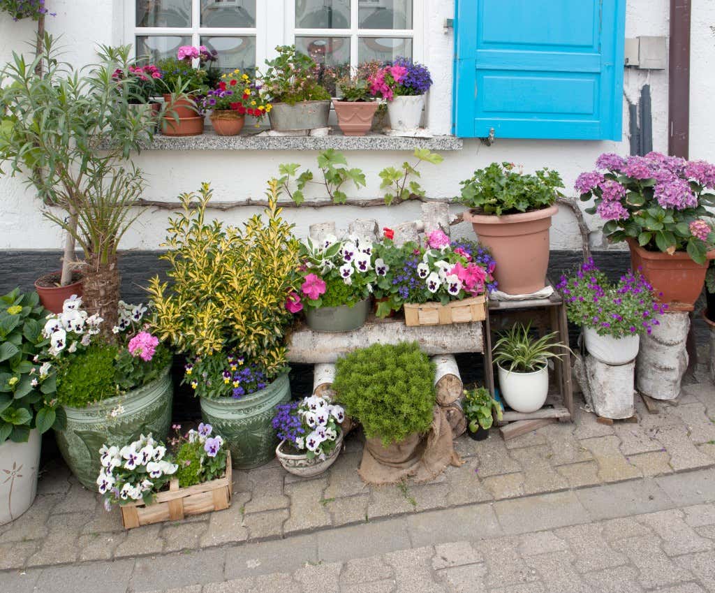 Blumen gießen im Urlaub 8 Tipps zum ferienfesten Garten