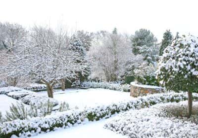 Unsere große Checkliste: So machen Sie den Garten winterfest!