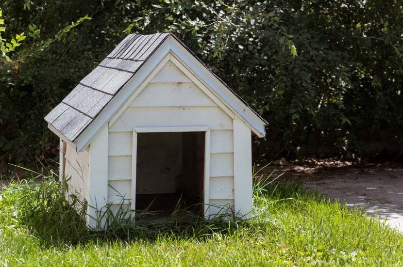 Weißes Hundehaus im Garten GartenHaus Magazin