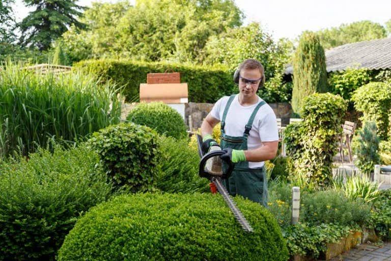 Was darf man als Mieter im Garten machen und was nicht?