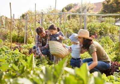 Nachhaltigkeit im Garten 11 Tipps zum Gärtnern