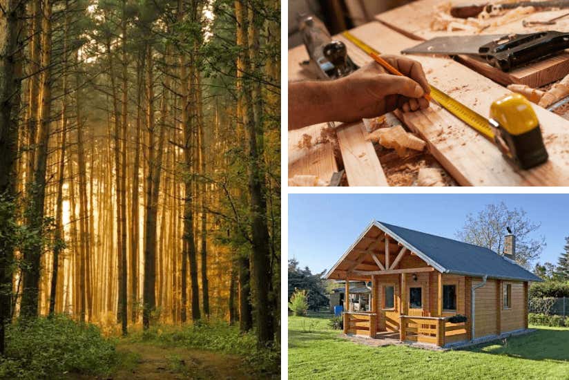 Wet en regelgeving stopverf Onveilig TuinhuisVan hout: Deze 3 houtsoorten zijn goed geschikt om te gebruiken